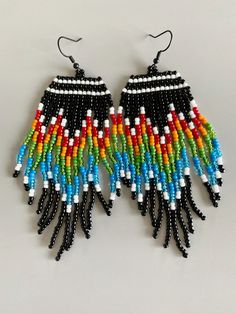 a pair of colorful beaded earrings with fringes on the sides and beads hanging from them