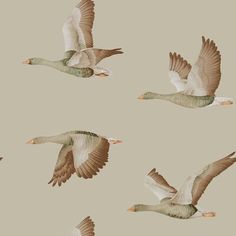 four geese flying in the air with their wings spread out and one bird has it's eyes closed