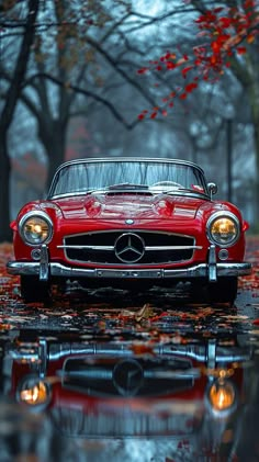 an old red car is parked on the wet ground in front of trees and leaves