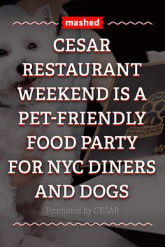 a white dog sitting on top of a table next to a book with the caption cesar restaurant weekend is a pet - friendly food party for nyc diners and dogs