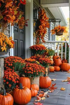 pumpkins and gourds are lined up on the front porch for fall decorations