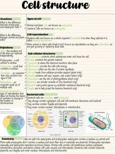 cell structure worksheet with diagrams and pictures for students to use in the classroom