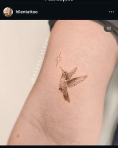 a small hummingbird tattoo on the right side of the thigh, it is black and white