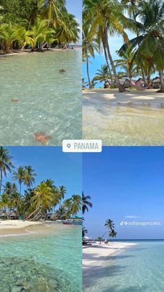 four different shots of the same beach with palm trees