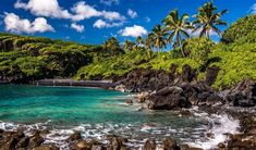 the beach is surrounded by palm trees and blue water