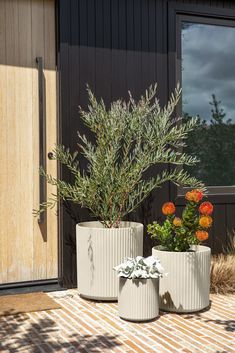 two planters with plants in them sitting on the ground