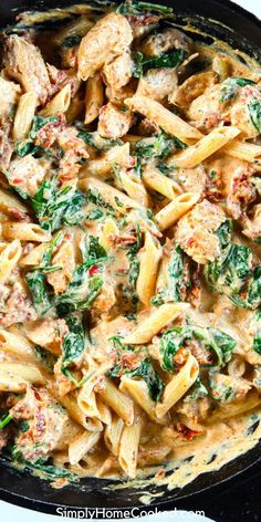 pasta with spinach and chicken in a creamy sauce