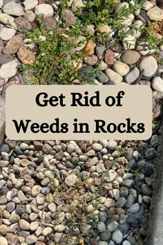 Getting Rid of Weeds in Rocks Kill Weeds Naturally, Killing Weeds, Kill Weeds, Garden Weeds, Garden Help, Garden Yard Ideas, Outside Ideas, Yard Work