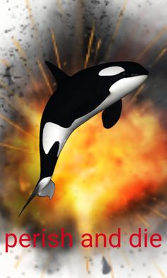 an orca jumping out of the water in front of a firework with words perish and die