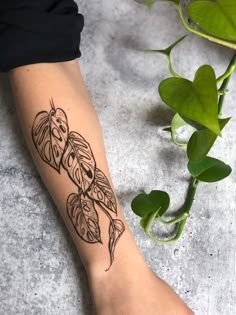 a woman's foot with a tattoo design on the side of her leg, next to a plant