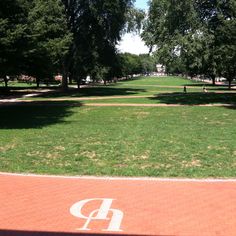 an empty park with benches and trees in the background