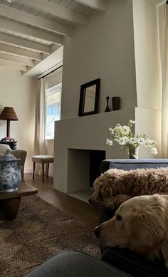 a dog laying on top of a couch next to a fire place