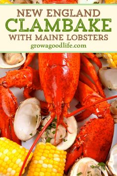 new england clambake with maine lobsters and corn on the cob