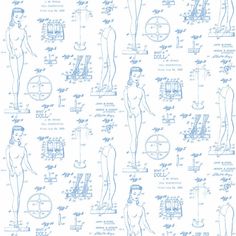 a blueprint drawing of a man's body and torso