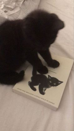 a black kitten playing with a book on a bed