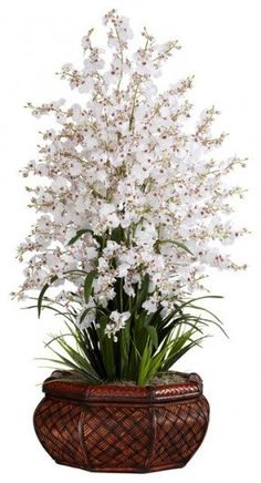 white flowers in a brown basket on a white background