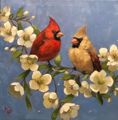 two birds sitting on a branch with white flowers