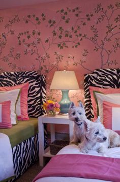 a small white dog sitting on top of a bed next to a pink and green wall