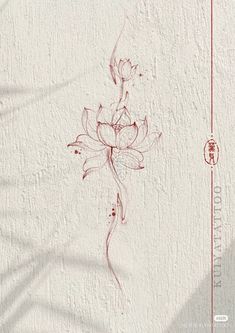 a drawing of a flower on a wall