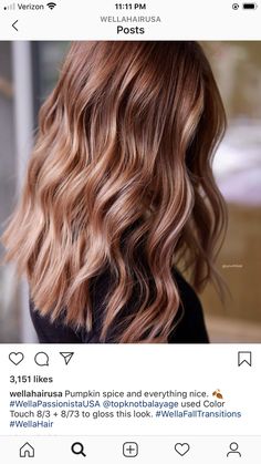 Pale Pink Hair, Champagne Hair, World Hair, Honey Brown Hair, Teased Hair, Wella Hair