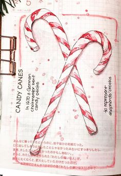 an open book with candy canes on it