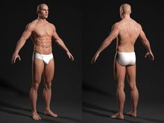 Male Body - Anatomy Study | Andor Kollar - Character Artist Body Anatomy Study, Male Body Anatomy, Anatomy Study, Journal Vintage, Video Studio