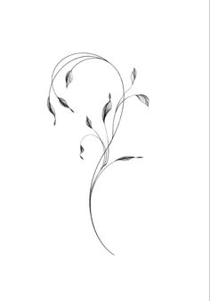 Flower Vine Tattoos, Brush Tattoo, Shoulder Tattoos For Women, Girly Tattoos, Tiger Tattoo