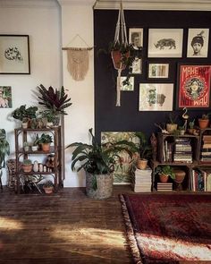 a living room filled with lots of plants and pictures