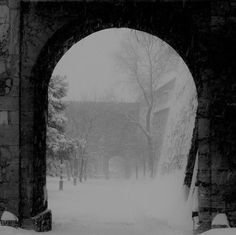 a black and white photo of an archway in the snow with trees on either side