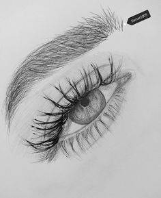 a pencil drawing of an eye with long lashes and eyelashes on the tip of it