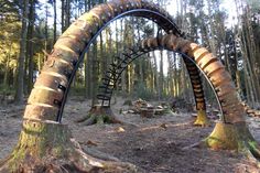 an arch made out of tree trunks in the woods