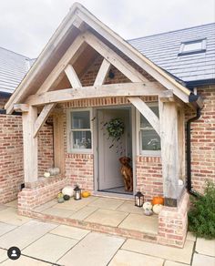 a dog is standing at the front door of a house with pumpkins on the doorstep