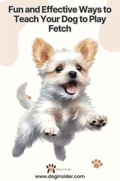 a small white dog jumping up into the air with its paws on it's chest