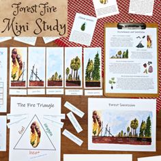 the forest fire mini study is displayed on a table with paper and other items to make it