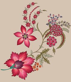 an image of some flowers on a beige background