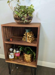 a potted plant sitting on top of a wooden shelf