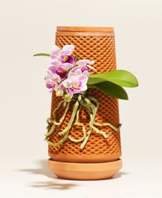 an orange vase with purple flowers and green leaves on it's sides, sitting next to another plant