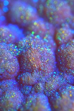 purple and gold glitter balls on a blue surface