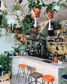 a bar with plants hanging from the ceiling and two stools in front of it