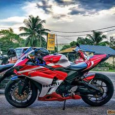 two red and white motorcycles parked next to each other in front of some palm trees