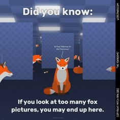 an image of a fox in the middle of a room with other foxes around it