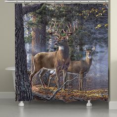 two deer standing in the woods shower curtain set with hooks on it's sides