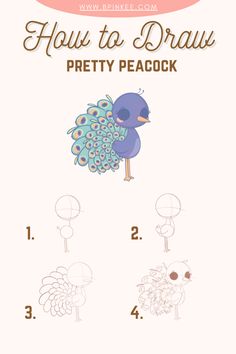 how to draw pretty peacock step by step instructions