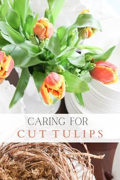 a bird nest sitting on top of a wooden table next to flowers and plates with the words caring for cut tulips