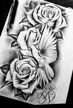 a pencil drawing of roses and a bird with the letter m on it's side