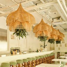 an image of a restaurant setting with chairs and plants hanging from the ceiling over the bar