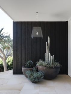 two large potted plants sitting on top of a stone floor next to a black wall