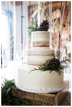 a white wedding cake with pine cones on top