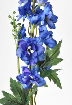 blue flowers are in a vase with green leaves