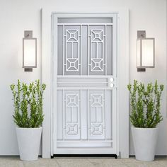 two potted plants sit in front of a white door with glass panels on it